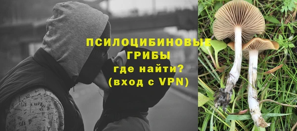 трава Беломорск