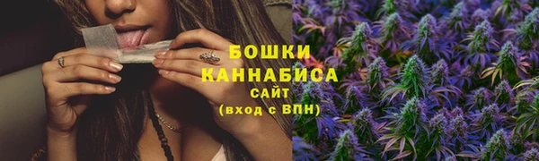 трава Беломорск