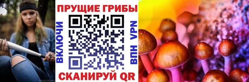 Купить  Анапа  Псилоцибиновые грибы мицелий 